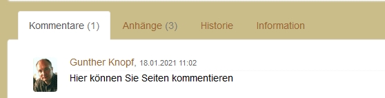 P-Kommentar.jpg