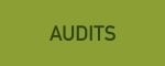 Audits.jpg