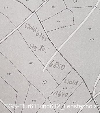 EGS-Flur611und612_Lehstenholz.JPG