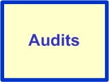 WB Audits.jpg
