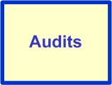 WB Audits.jpg